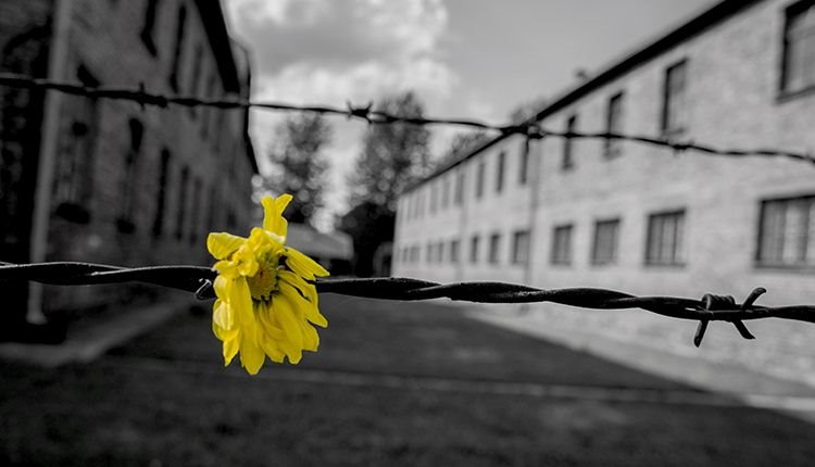 GIORNATA DELLA MEMORIA